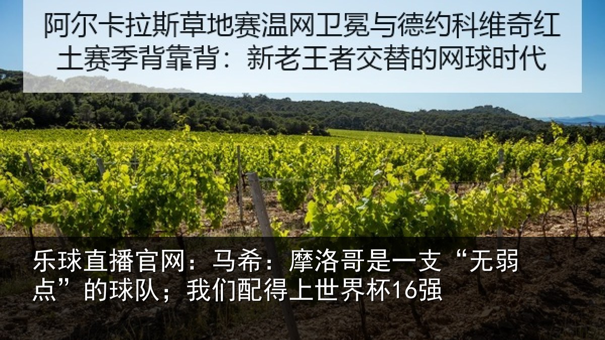 乐球直播官网：马希相关情况点的相关情况界杯16强