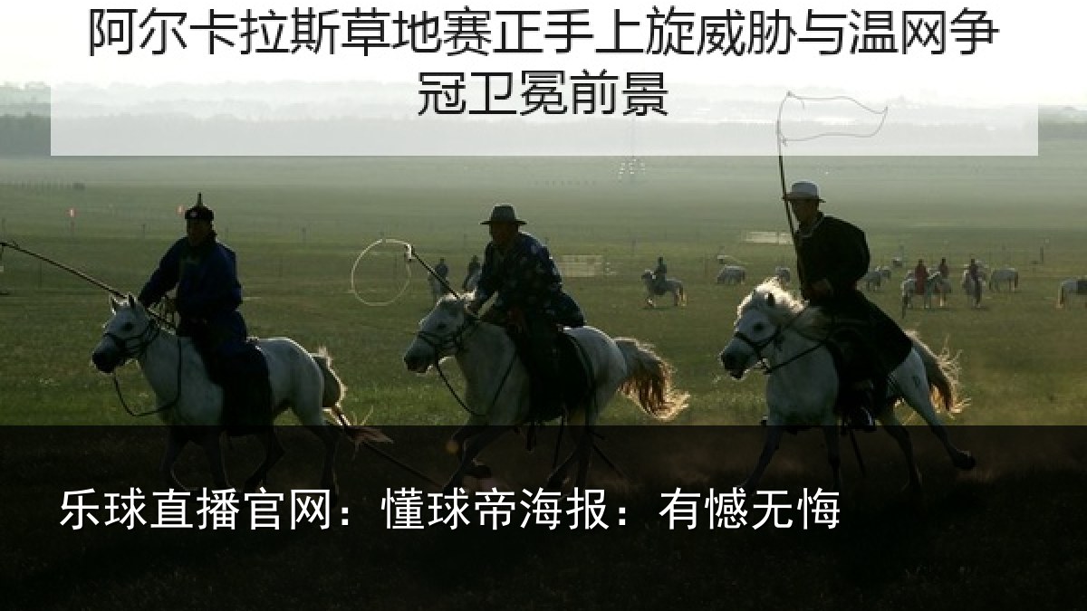 乐球直播官网：懂球帝海报：有憾无悔
