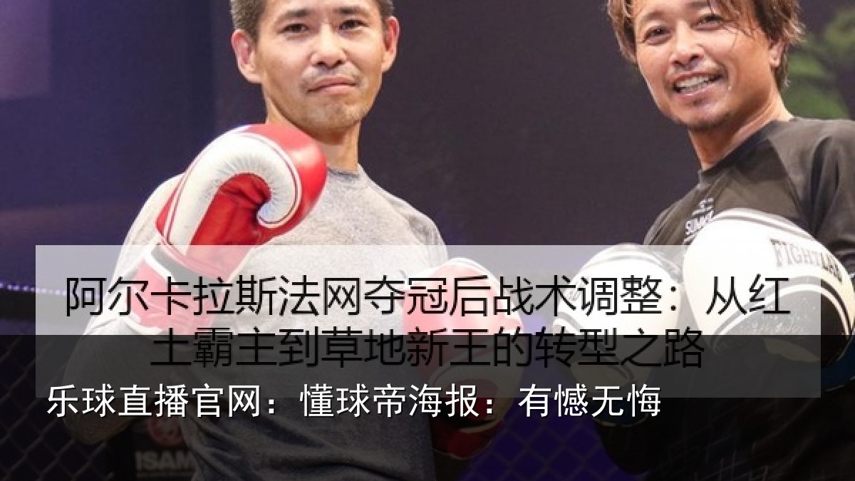 乐球直播官网：懂球帝海报：有憾无悔