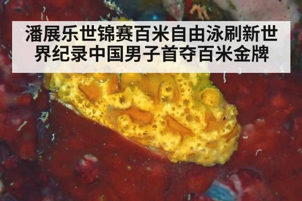 潘展乐世锦赛百米自由泳刷新世界纪录中国男子首夺百米金牌